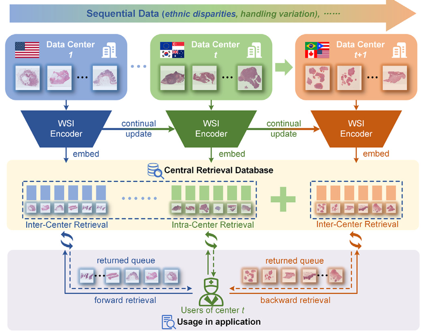 Overview of continual cross-center WSI retrieval